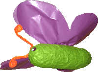 Schmetterling